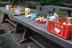 picknick-02